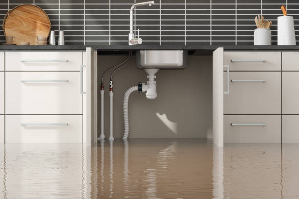 Trusted Water Damage Restoration in Powell, AL | Fast, Reliable, and Ready to Assist You